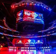 金年会-电竞夜战：齐鲁天虎队大胜姑苏霹雳队，临门一脚致胜逆风翻盘的范本的简单介绍