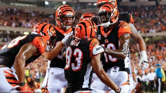 金年会-包含粤西猛虎队惊险晋级荆楚猛虎队，板球友谊赛上演关键失误成转折！临场应变见真章的词条