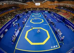 Jinnianhui-包含跆拳道赛场再起风云：云贵风暴队惊险晋级关中烈马队，赛场气氛火爆赛场纪律更严谨的词条